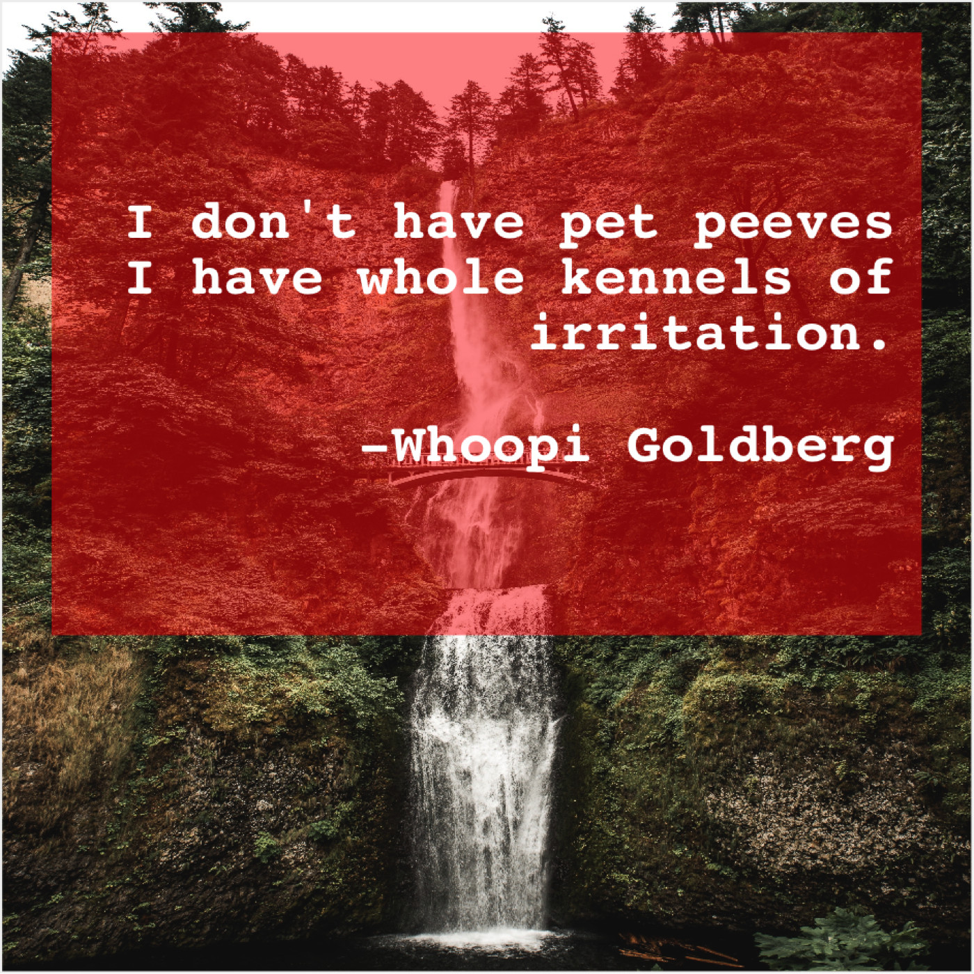 Sean Holden's Blog Whoopi Goldberg I don’t have pet peeves…